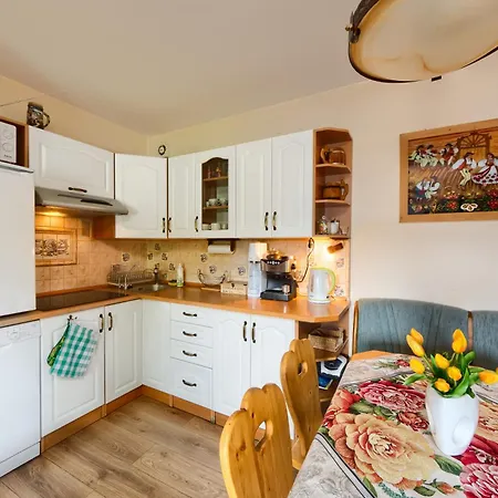 Brylowka W Centrum Zakopanego