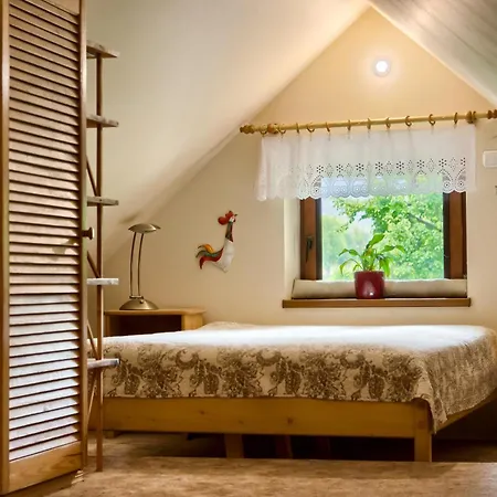 Brylowka W Centrum Zakopanego