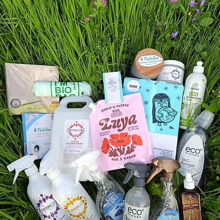 Brylówka W Centrum Zakopanego